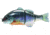 Jackall Lures Jackall Gantarel JR Segmented Swimbait, 5ft, 1 1/2oz, Floating, Spawn Gill, JGANTJR-RTSPG