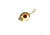 JB Lures GE813AP Gem-N-Eye #8 Gold 2/.Pack, GE813AP