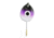 JB Lures GE846P Gem-N-Eye #8 Blk-Purple-Glow 2/Pack, GE846P