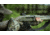 Jebs Choke Tubes Jebs Low Profile Red Dot Mount for Trijicon RMR- Holosun H5407/H5507C/H5508T Black 5E7B491E