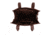 Jessie &amp; James Kathy CCW Tote Bag, Dk Brown, SMC60132LK DBR