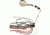 Johnson Beetle Spin R Bait, Bluegill 179772