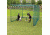 Jugs Sports Jug-Speed Challenge - Multi-Sports Cage