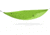 Kammok Roo Single Outlet, New &amp; Unused, Aloe Green, One Size, ON-ROOS40D-ALOGRN