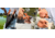Kast King Gila Aluminum Straight Nose Plier, Burnt Orange, 7.5in, KKTATLSPLR8SALGIBTO