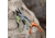 Kast King Gila Aluminum Straight Nose Plier, Burnt Orange, 7.5in, KKTATLSPLR8SALGIBTO