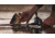 Kast King Mg12 Elite Magnesium Baitcasting Reel, Right, KKRLCSTM1275RDG