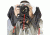 Kata E-702 Rain Cover In Use - KT-PL-E-702
