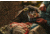 Kelty Redwing 36, Fallen Rock / Hydro, 22615620RK