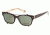 Kenneth Cole KC0240 Eyeglass Frames - Brown Horn Frame Color