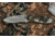 Kershaw Blur Assisted Opening Folding Knife, 3.4 in, 14C28N, Recurve Blade, Aluminum, Camo Handle, 1670KC