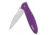 Kershaw Leek Assisted Opening Folding Knife, 3 in, 14C28N, Drop Point Blade, 6061-T6 Aluminum, Purple Handle, 1660PUR