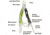 Kilimanjaro Gear Rappel II Multi Tool,Plain KJ910054