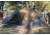 Kings Camo XKG Summit 2 Tent, Khaki/Charcoal, 2 Person, XKG6200