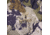 Kings Camo XKG Wind Storm Peak Rain Jacket, XK7, 3XL, XKG4500-XK7-3XL