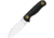 Kizer Cutlery Drop Bear Fixed Blade, KI1101A1