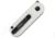 Kizer Cutlery Mini Bay Folder