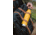Klean Kanteen Insulated Classic w/Loop Cap, 20oz, Marigold, 1008458