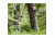 Knight &amp; Hale Real Tree Snake Gaiters, KHT0007