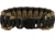 Knotty Boys Fat Boy Survival Bracelet, Coyote Brown-Black, 8in. Diameter KY117