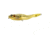 Koppers Frog Walking Bait 105, Yellow 320416
