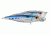 Koppers Live Target Glass Minnow Popper Lure 2-1/2" - Silver/Blue/Green 120890