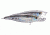 Koppers Live Target Glass Minnow Popper Lure 3" - Silver/Smoke 120892