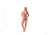 Krimson Klover Chelsea One Pieces - Womens, Spectrum Stripe, Medium, S23140-653-M