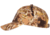 Kryptek Flag Hat - Mens, Flyway, OS, 15FLAGHFLY