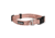 Kuma Outdoor Gear Lazy Bear Dog Collar