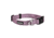 Kuma Outdoor Gear Lazy Bear Dog Collar