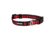 Kuma Outdoor Gear Lazy Bear Dog Collar