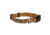 Kuma Outdoor Gear Lazy Bear Dog Collar