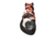 La Sportiva Solution Climbing Shoes - Womens, White/Lily Orange, 37, ZFCS014-W00O03-37