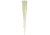 Labcon and Signature Non-Bevel Pipet Tips 1031-800-010 Vwr Tips