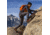 Danner Panorama Mid 6in Pinecone Brown/Bossa Nova - Mens, Pinecone Brown/Bossa Nova, 9.5, 63439-D-9.5
