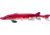 Lakco Plastic Decoys