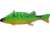 Lakco Plastic Perch Spearing Decoys
