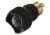 Laser Devices OV-2 Push Button Tailcap