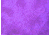 Lastolite 10x24 Washable Muslin Background, New York LLLB7855
