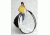 Lastolite Hilite Background 6in X 7in LL-LB8867