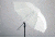 Lastolite Translucent Umbrella For Brolly Grip 20in