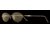 Laura Ashley Estelle SELA ESTE00 Bifocal Prescription Eyeglasses