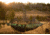 Lawson Hammock Blue Ridge Camping Hammock