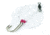 Lazer Sharp Striped Bass Saltwater Rig,26in,Crane Swivel Red Bead,Gold L938-1/0