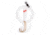 Lazer Sharp Striped Bass Saltwater Rig,26in,Crane Swivel Red Bead,Gold L938-1/0