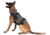 LBT Tactical K9 Harness, MAS Gray, LBT-1608K-9 MAS GREY