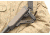 Leapers UTG PRO Model4 Combat Ops S1 Mil-Spec Butt Stock-FDE, _x000D_ RBUS1DMS