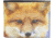 Leather Collections Bifold Wallet, Animal Eyes, Black w/Fox Eyes, EYES15-FOX