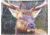 Leather Collections Trifold Wallet, Animal Eyes, Black w/Elk Eyes, EYES16-ELK